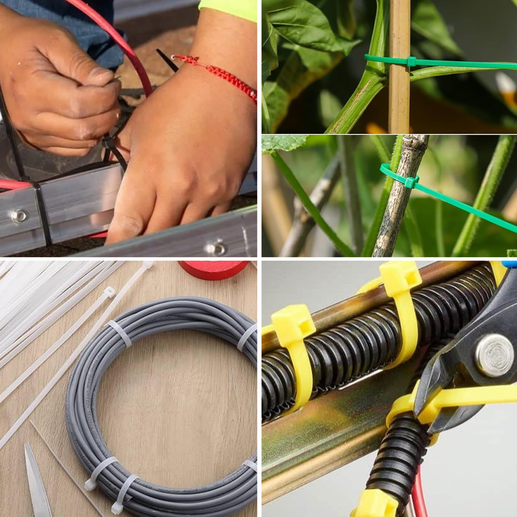 Amazon.co.jp: TORMEN 8インチケーブルミックスカラータイ、18ポンド