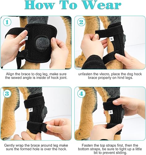 Miniatura 7 de Rodillera de pierna trasera, rodillera de perro con tiras de metal, soporte de cadera y tobillo, pierna trasera para perrito canino, manga de pierna
