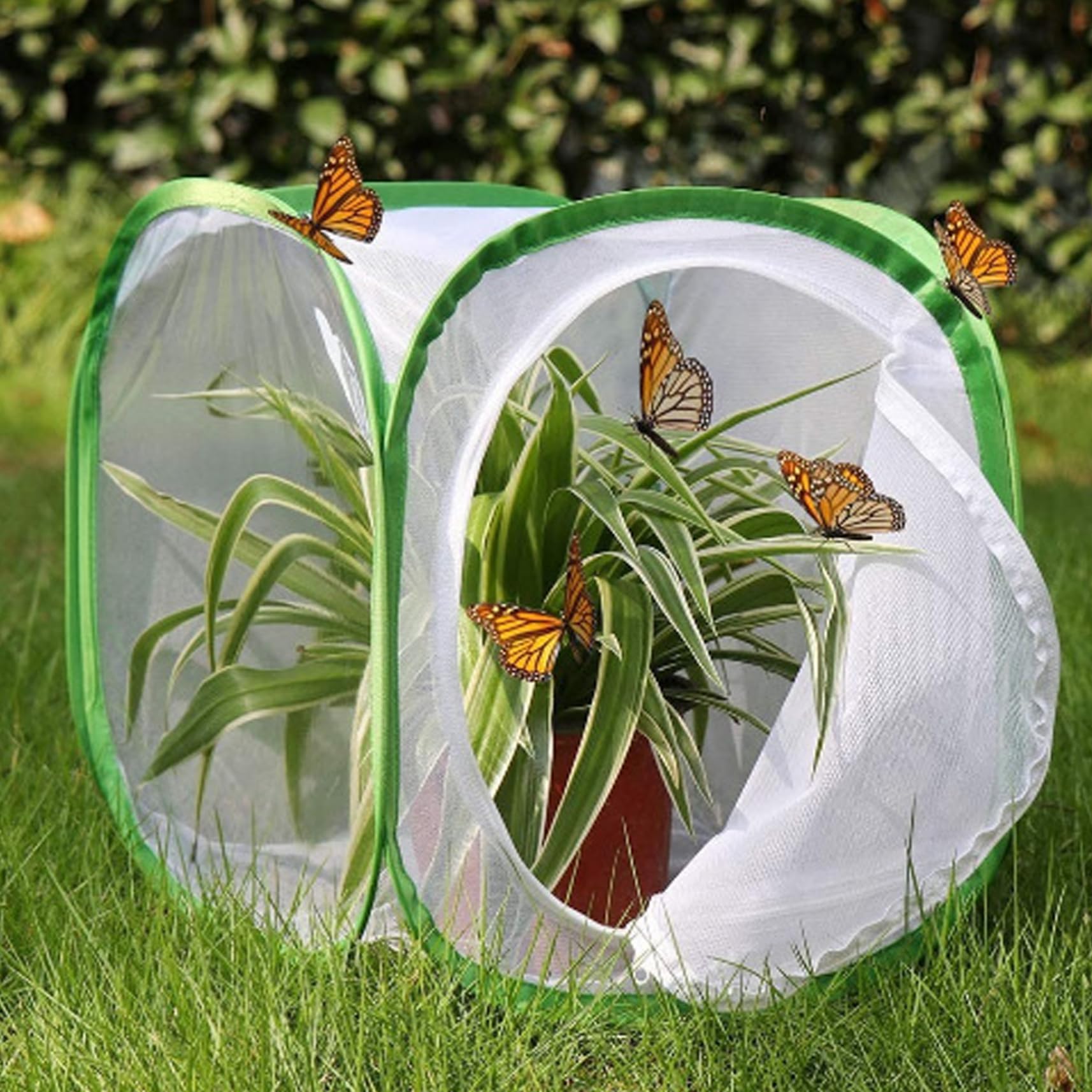 Cage Papillon 12x12x12'' Pop-up Tente Filet pour Élevage Enfants
