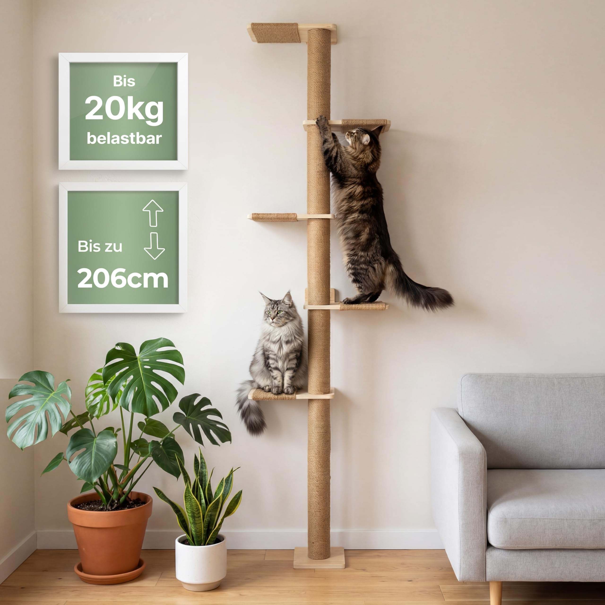 WOOWOOD Kratzbaum Wand - Höhe Anpassbar bis 206 cm - Kratzbaum Wandmontage, Wandkratzbaum, Katzen Wandelemente für Kletterwand Katzen, Katzenleiter, Katzenbaum Holz, Katzenturm, Kletterstange