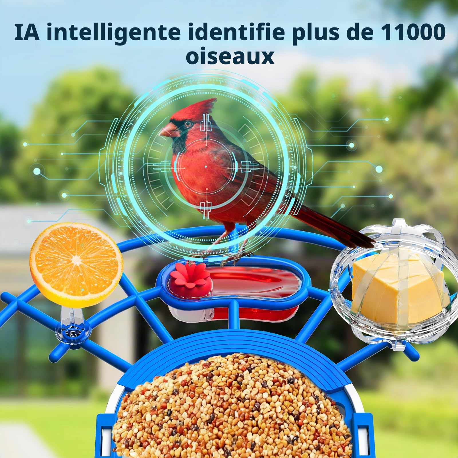 NIORSUN Mangeoire à Oiseaux avec Caméra 2K, Solaire, Reconnaissance IA des Oiseaux, Vision Nocturne Couleur Mangeoire Oiseaux Exterieur IP65 Notification Instantanée & Enregistrement Automatique