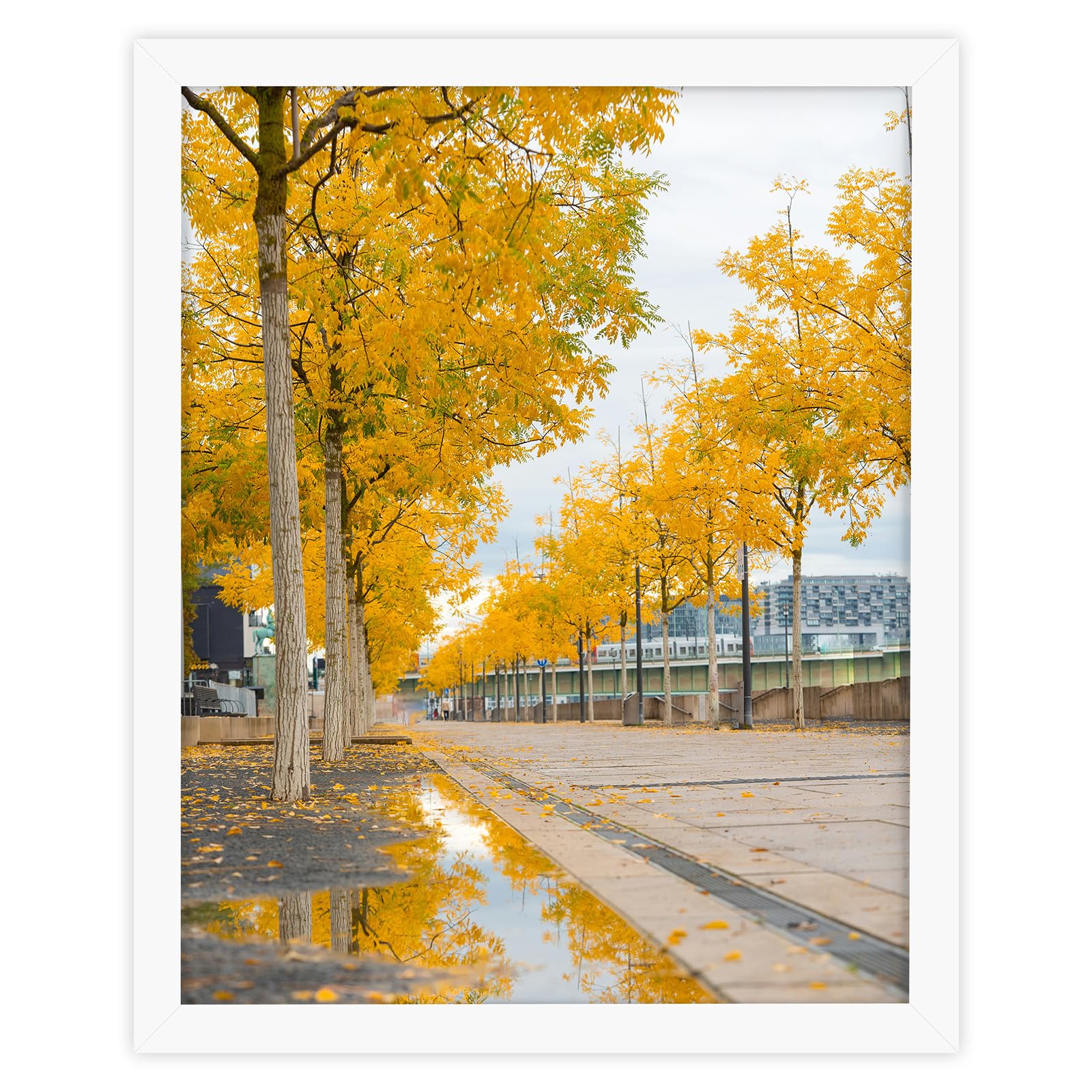 Golden State Art, Solid Wood 16x20 Wooden Picture Frame - for 16x20 Photos, 1-1/4-Inch Wide with Real Glass - Horizontal and Vertical Wall Display, Great for Engagement, Wedding, White, 1 Pack