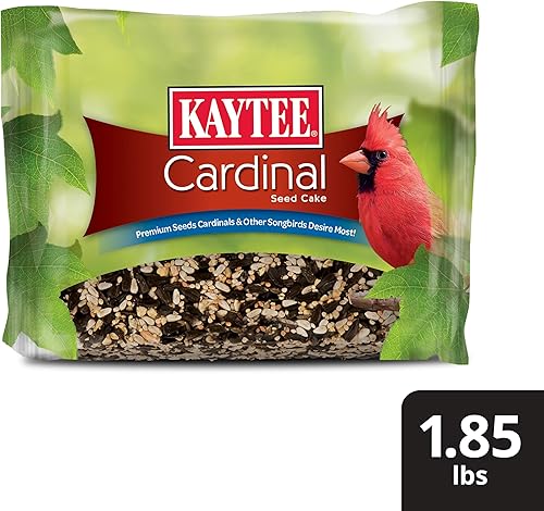 Vista 46 de Kaytee Pastel de semillas de pájaro carpintero, alimento para aves silvestres, 1.85 libras