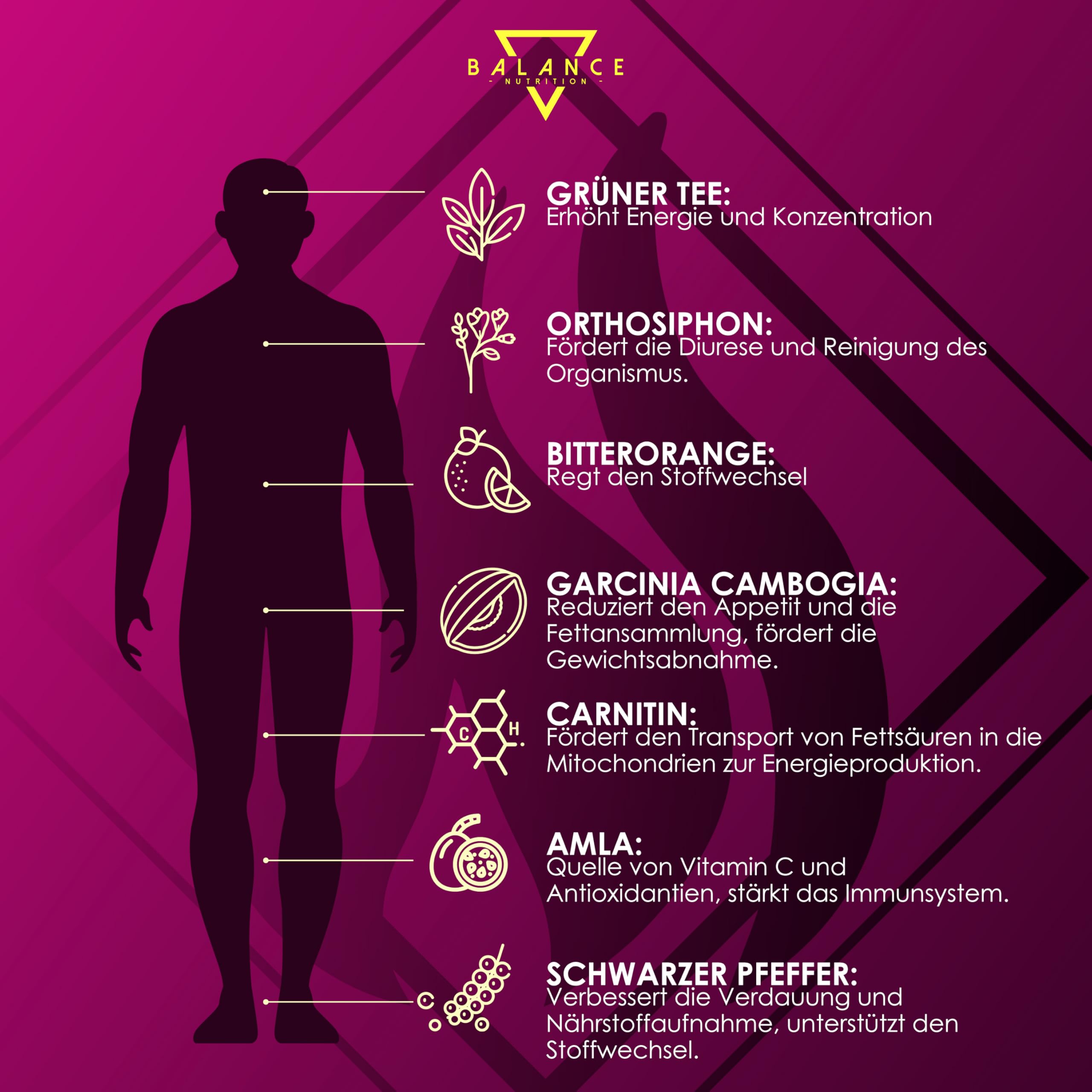 Ketosan® (Diät inklusive Entwässerung) - Stoffwechsel Kapseln | Sofort Stoffwechsel Formel | Grüner Tee, Orthosiphon, Garcinia Cambogia, Piperina