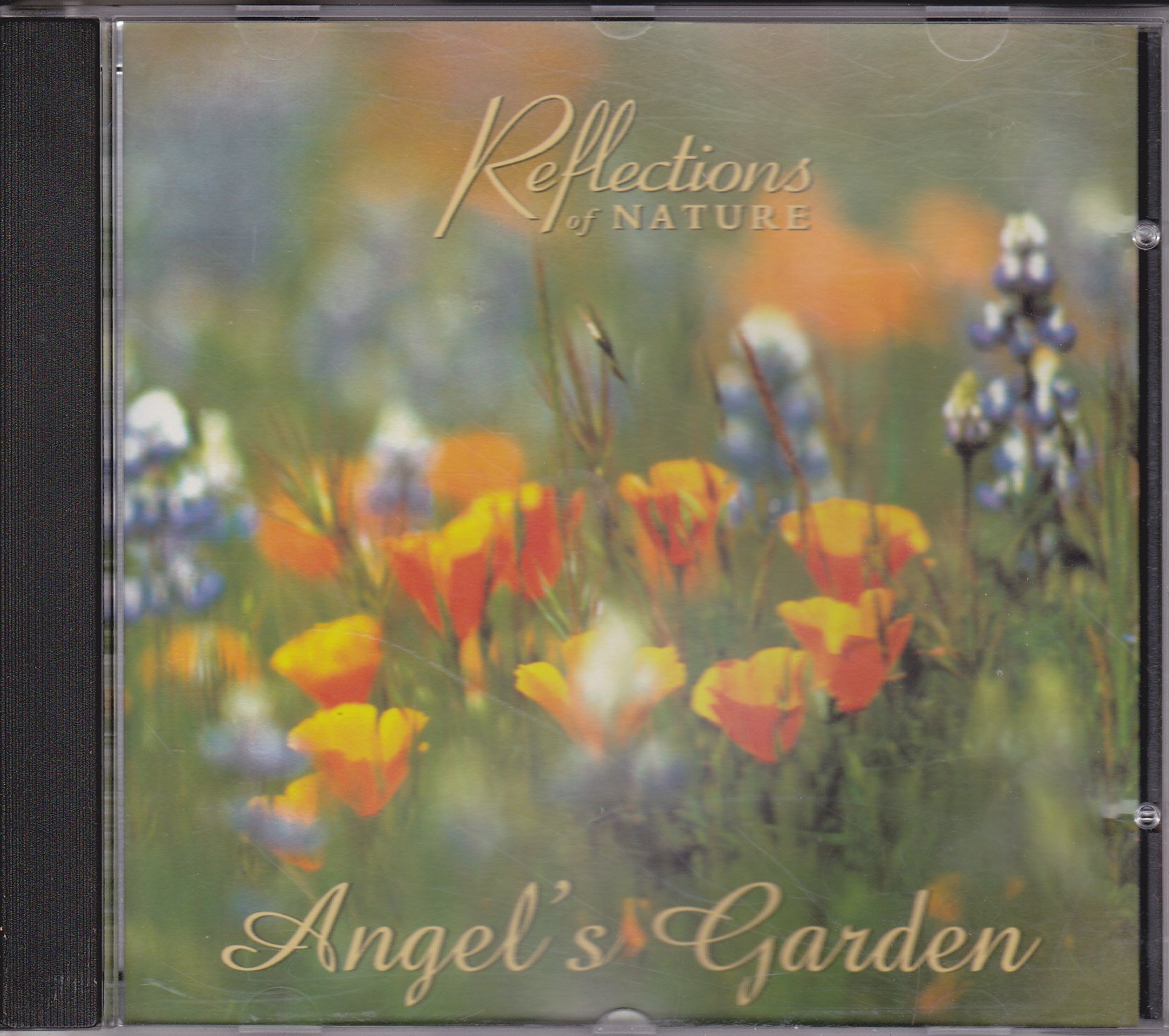 Reflections of Nature - Angel's Garden [Audio CD]