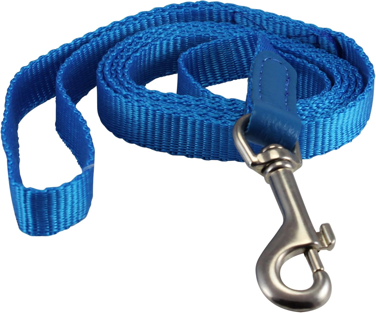 Dog Leash 1/2" Wide Nylon 5ft Length with Leather Enforced