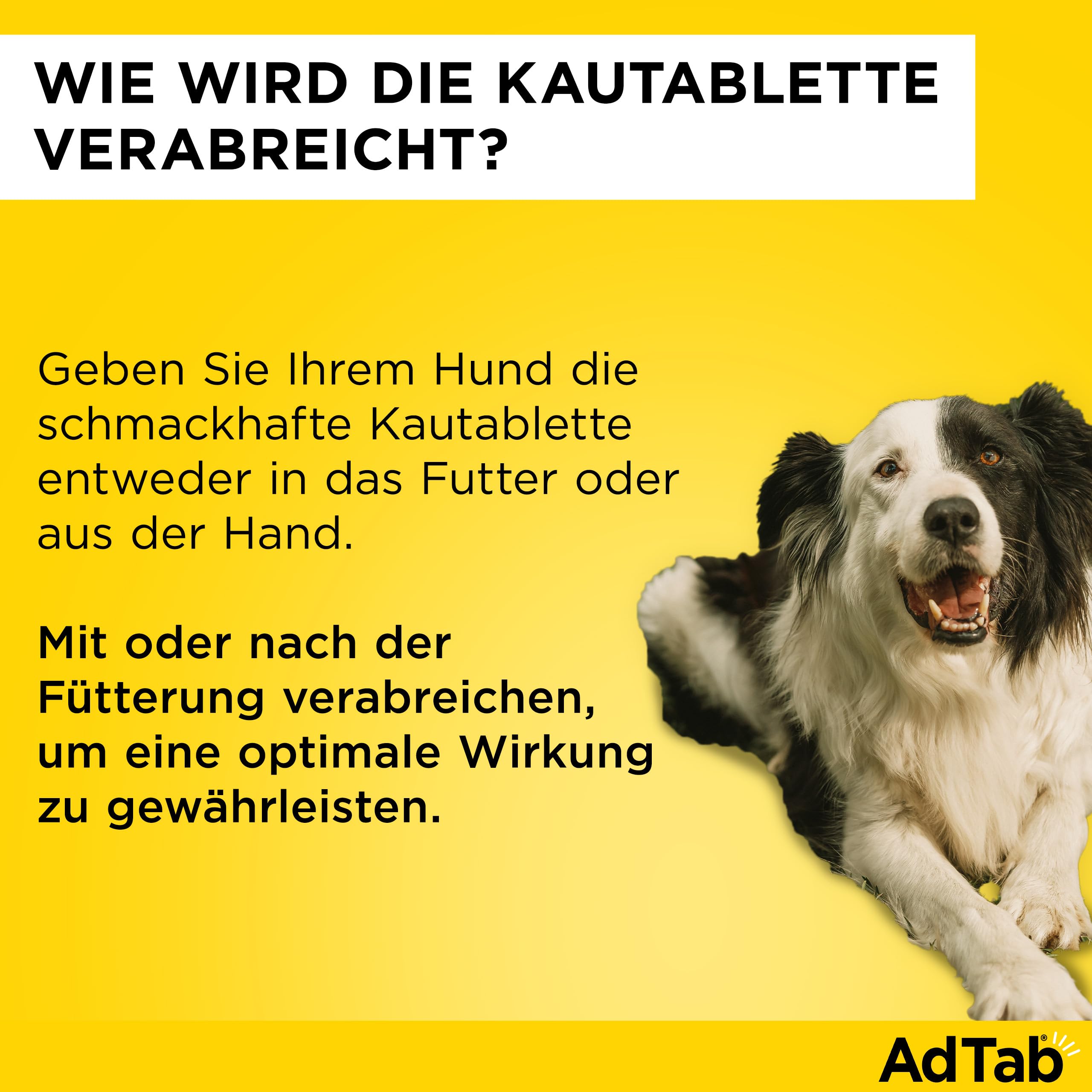 AdTab Hund 5,5-11 kg - Kautablette gegen Zecken & Flöhe, Doppelpack(6 St.) | Kleine Kautablette mit Rindfleischgeschmack. 3 Monate Floh- & Zeckenschutz für deinen Hund, schnelle Wirkung & einfache Gabe.
