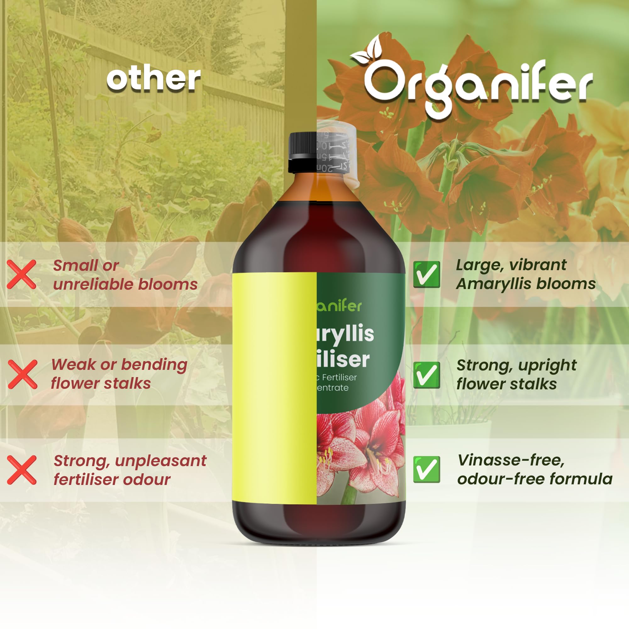 Amaryllis Płynny Nawóz - 10L - NPK 3-4-3 | Nawóz Płynny Dla Dużych Kwiatów I Mocnych Cebul - Wspomaga Rozwój Korzeni I Witalność - Organifer
