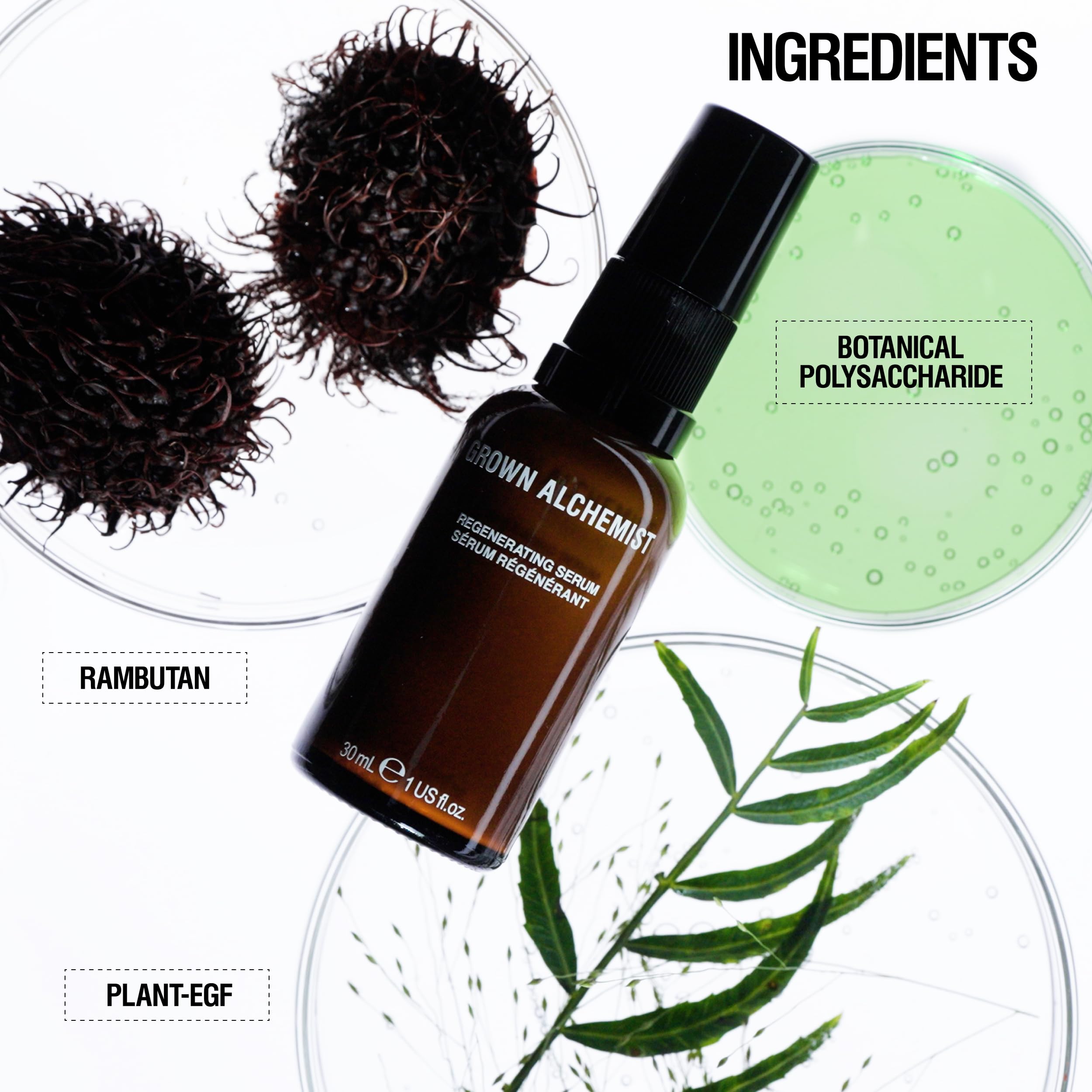 Grown Alchemist Regenerating Face Serum - Anti Aging Serum gegen Falten mit Peptiden, Proteinen & pflanzlichem Kollagen, aufhellendes, feuchtigkeitsspendendes Gesichtsserum mit Antioxidantien, 30ml