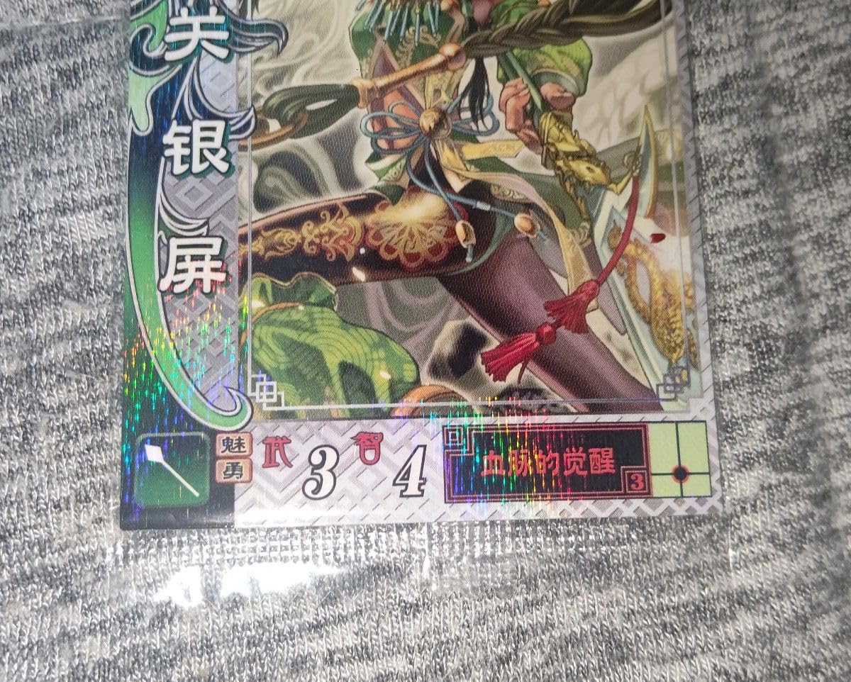 Amazon.co.jp: R関銀屏 覇三国志大戦2 陸原一樹 希少｜ : ホーム＆キッチン