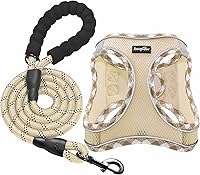 haapaw No Pull Dog Harness with Leash Set - Adjustable Reflective Step-in Padded Vest for XS/SM/M Dogs