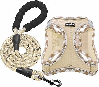 haapaw No Pull Dog Harness & Leash Set - Reflective Step-in Adjustable Padded Vest for XS/Small Medium Puppies, 4.4 Stars