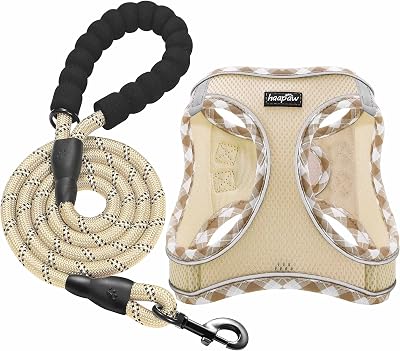 haapaw Dog Harness with Leash Set, No Pull Adjustable Reflective Step-in Puppy Harness with Thickened Padded Vest for Extra-Small/Small Medium Dogs