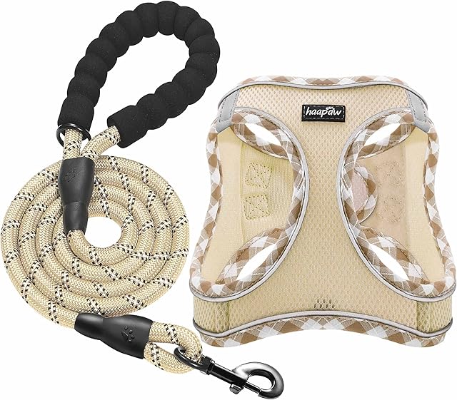 haapaw Dog Harness and Lead Set, No Pull Adjustable Reflective Step-in Puppy Harness with Thickened Padded Vest for Extra-Small/Small Medium Dogs
