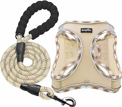 haapaw Dog Harness with Leash Set, No Pull Adjustable Reflective Step-in Puppy Harness with Thickened Padded Vest for Extra-Small/Small Medium Dogs