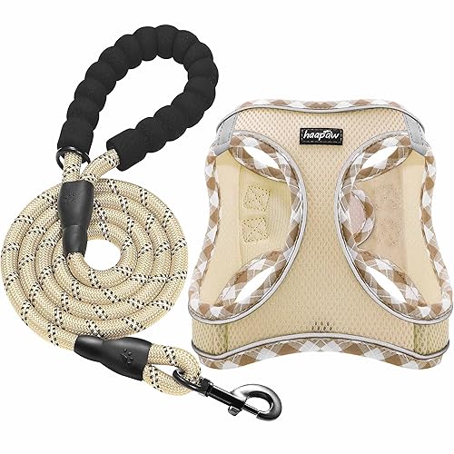 haapaw Juego de arnés y Correa para Perro, sin Tirar, Ajustable y Reflectante para Cachorros, Chaleco Acolchado para Perros Extra pequeños/pequeños medianos Beige - XS (Pecho 25.4-31.75 cm, Peso 2.3-3.6 kg) - Beige