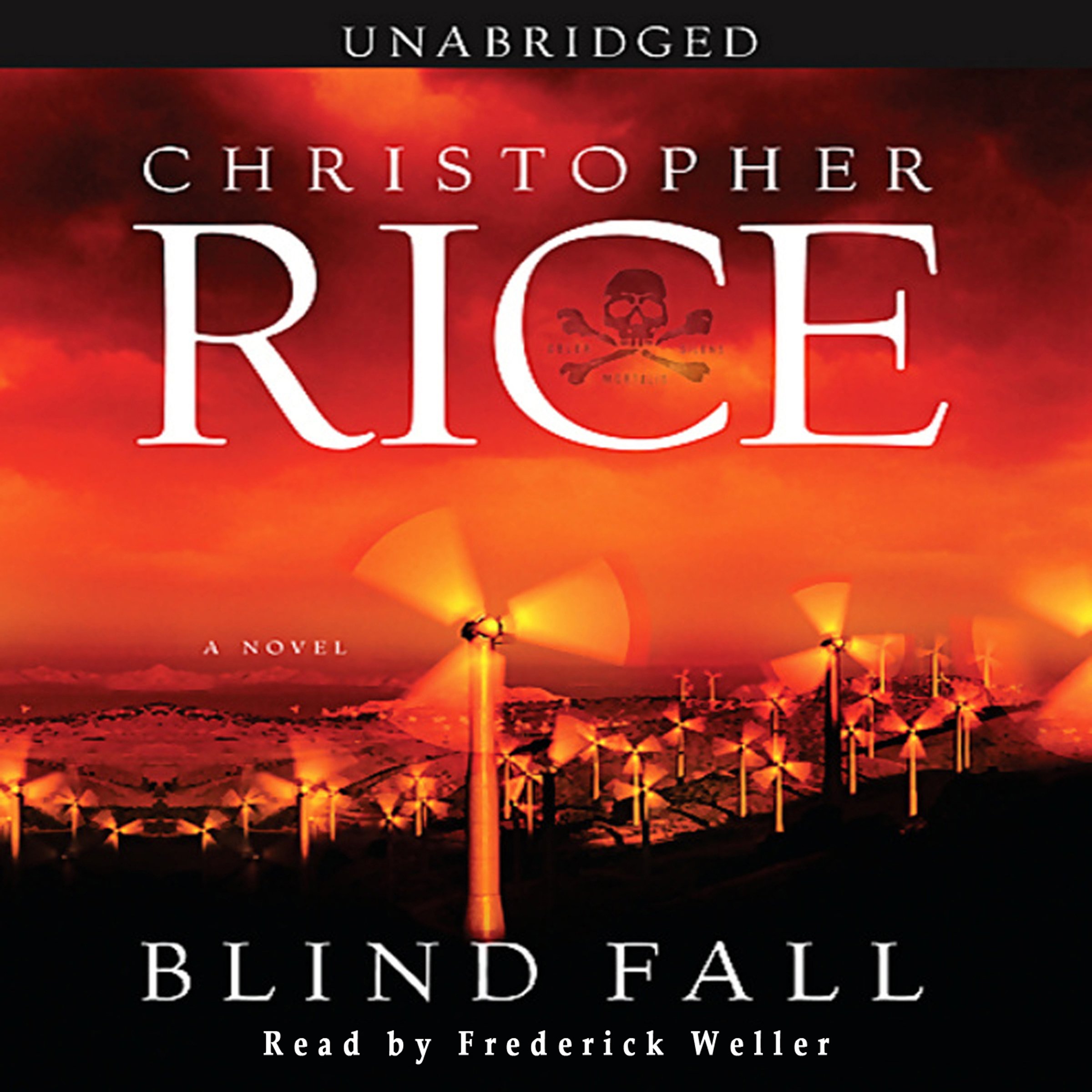 Cover art for Blind Fall