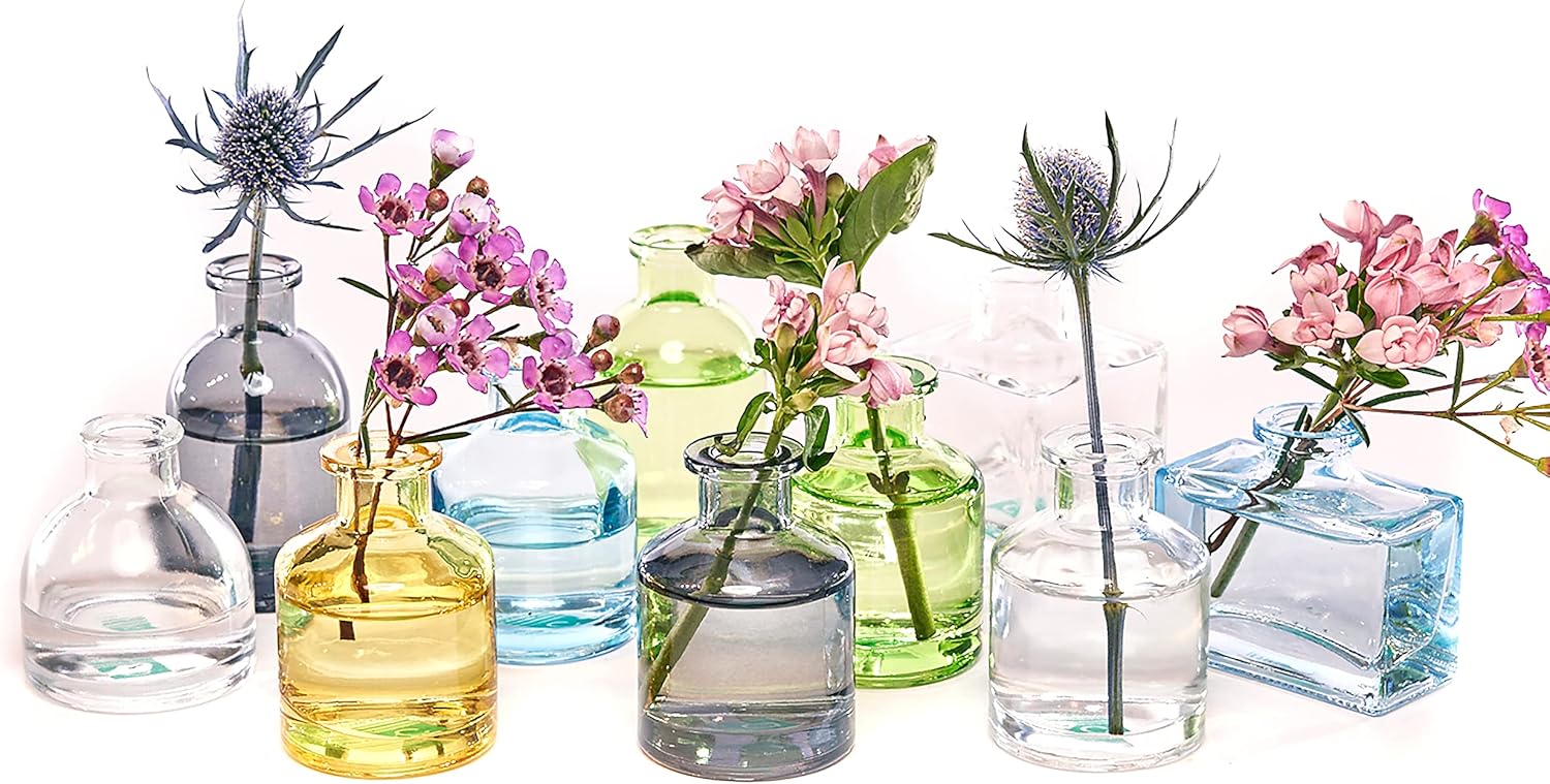 CHIVE ‘Loft’ Small Mini Flower Vases - Clear Glass Bud Vases, Set of 10 Color - Cute Vintage Rustic Centerpieces for Wedding, Events & Home - Premium Quality, Designed to Last