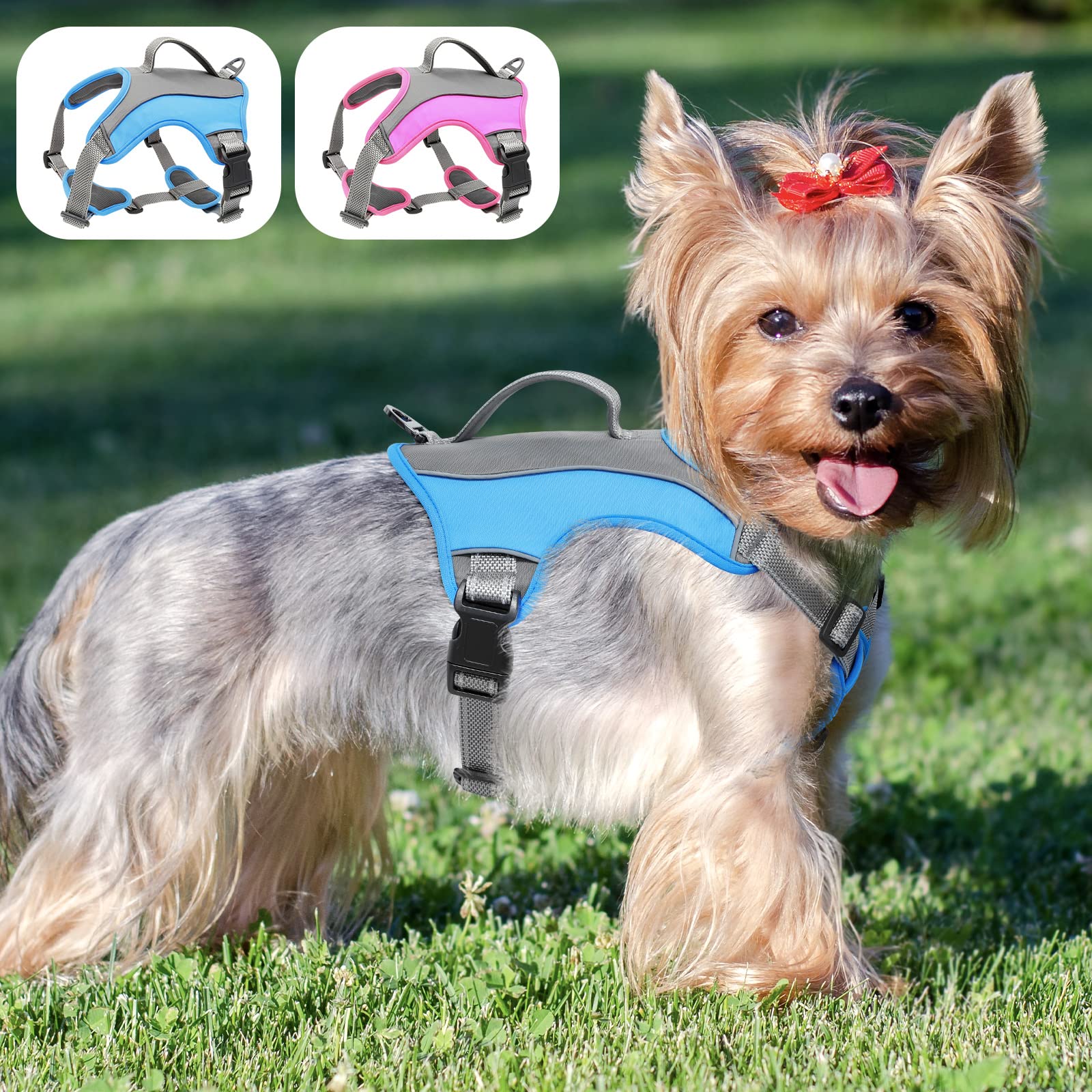 Why Does My Labrador Lay Her Head On My Chest