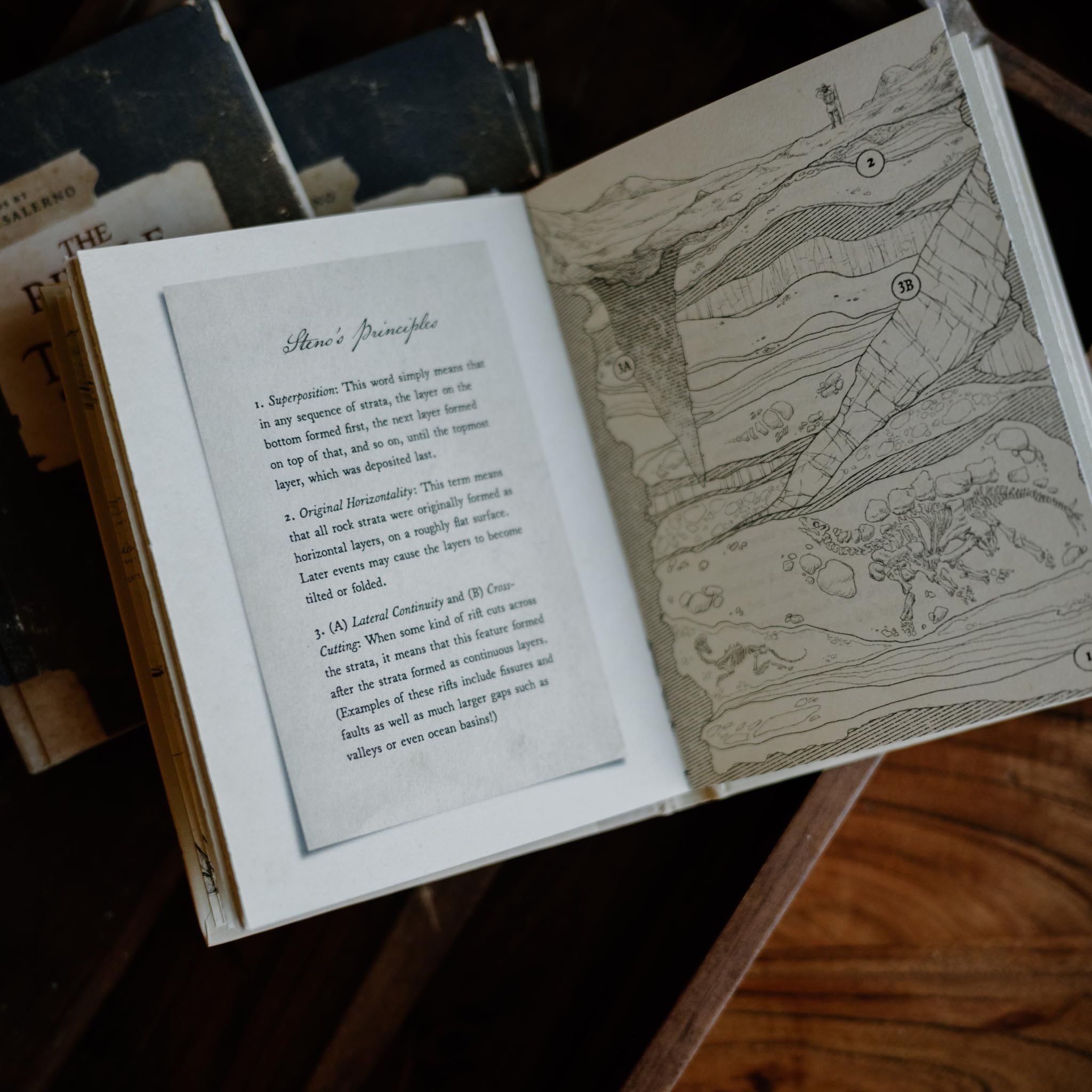 The Riddle of the Tongue-Stones: How Blessed Nicolas Steno Uncovered the Hidden History of the Earth
