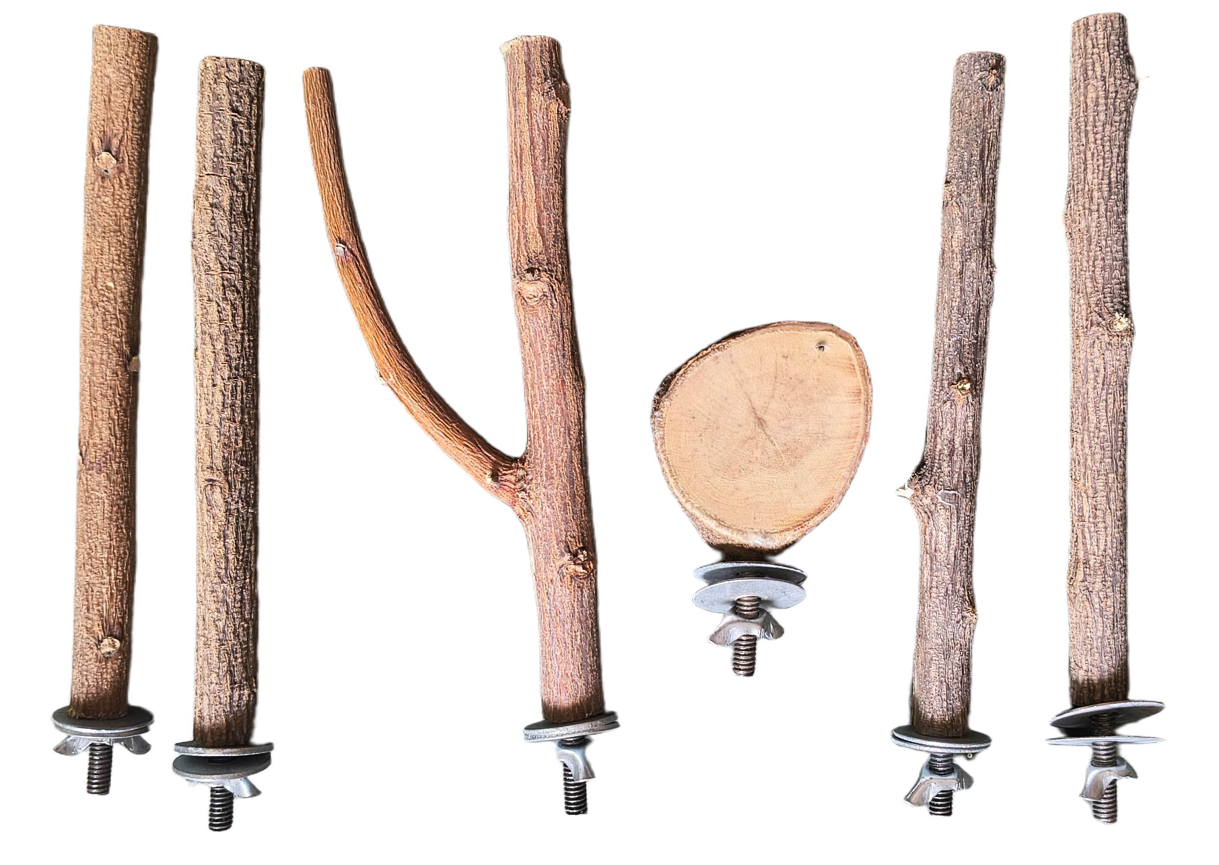 Neem Wood Bird Perch with Natural Bark for Parrots & Pet Birds | Natural Neem Branch Chew Toy for Cage | Supports Beak, Foot Health & Hygiene | Safe Wooden Perch Stand (6–7 Inch, Pack of 4)-image-49
