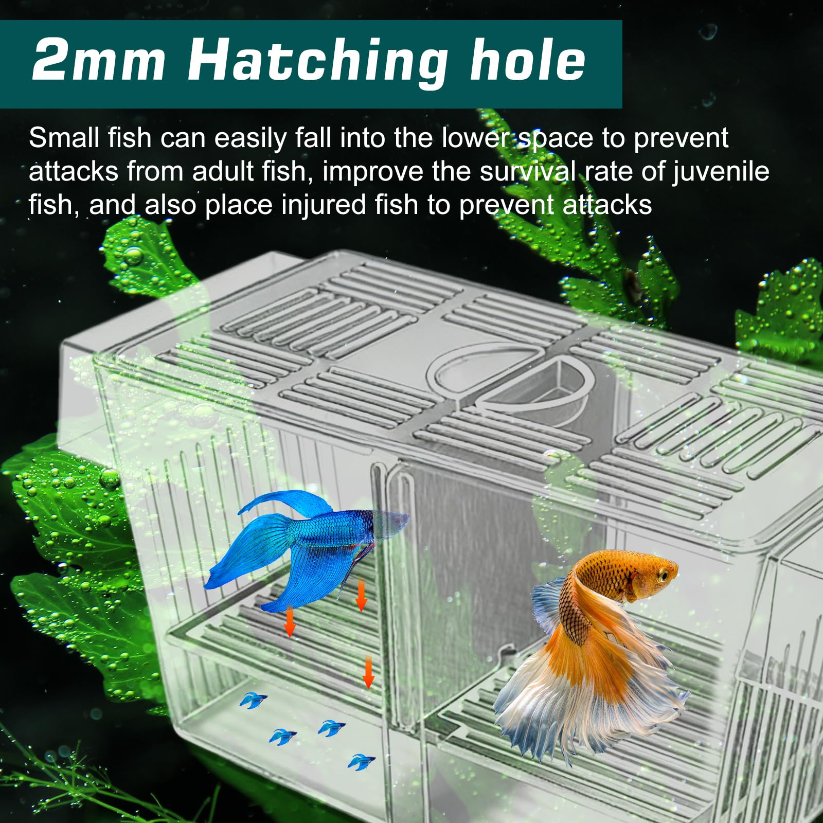 23 cm, bacino di allevamento per acquario, contenitore acrilico trasparente, per acquario, sistema di separazione rimovibile, pratica rete di raccolta, cassetta per la cura dei pesci