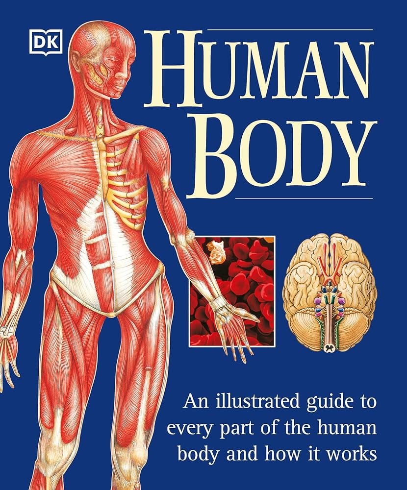Amazon | The Human Body: An Illustrated Guide to Every Part