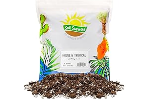 Champion Premium Potting Mix: Your Plants' Champion