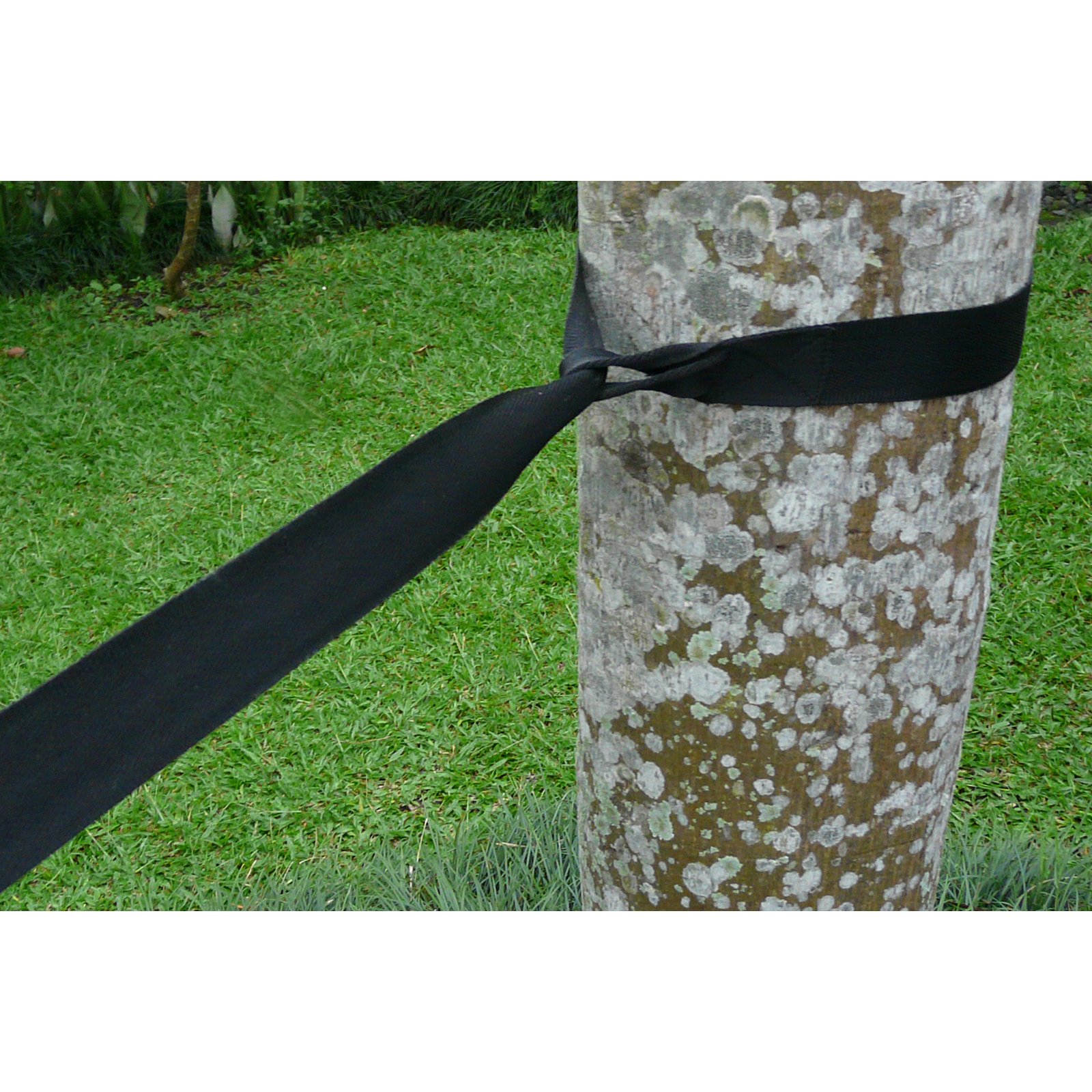Sangles D'Arbre Pour Hamac Bliss - Réglables 9.75ft - Capacité 300lbs