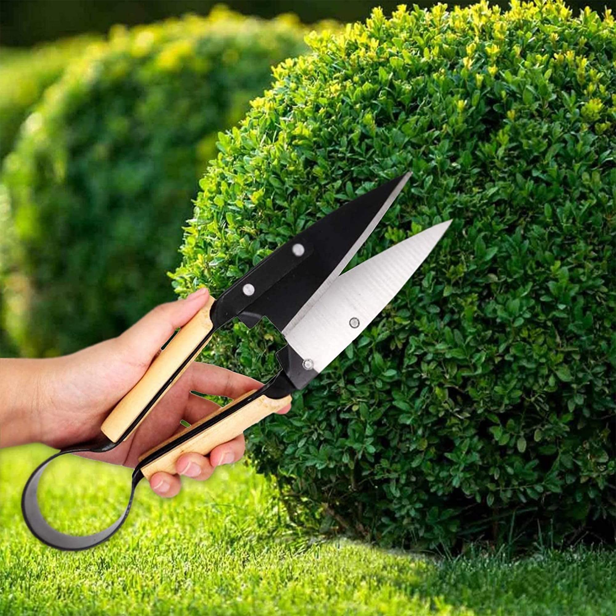 FISHTEC Ciseaux Cisaille Topiaire Tradition - Avec Etui - 33 cm - Sécateur de Jardin en Acier Inox et Manche revêtement Bois - Idéal pour tailler vos Fleurs, Buis, Bonsaï, Haies, Herbe