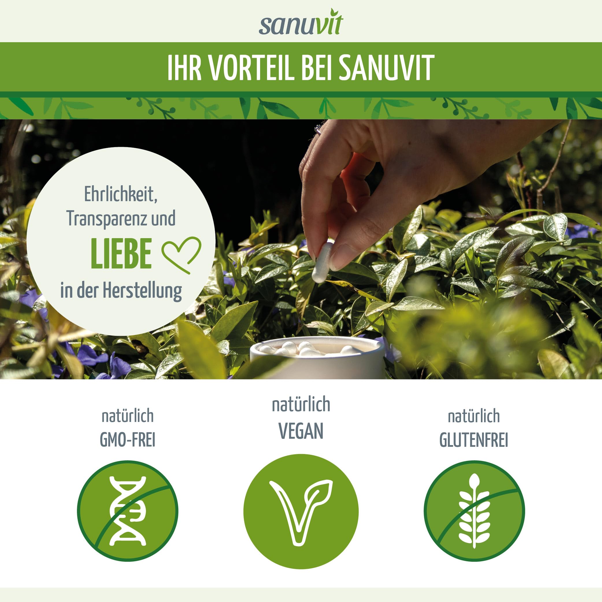 Sanuvit® - Zink 30 mg pro Kapsel | 180 Kapseln | Hochdosiert | Zink aus Zinkpicolinat | Hohe Bioverfügbarkeit und Verträglichkeit | Hergestellt in Österreich