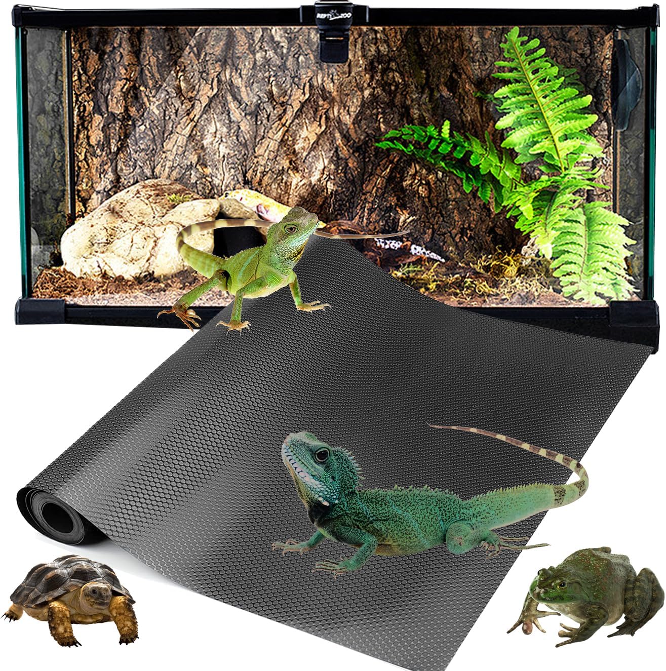 View of The Best (And Worst) Substrates for Your Bearded Dragon