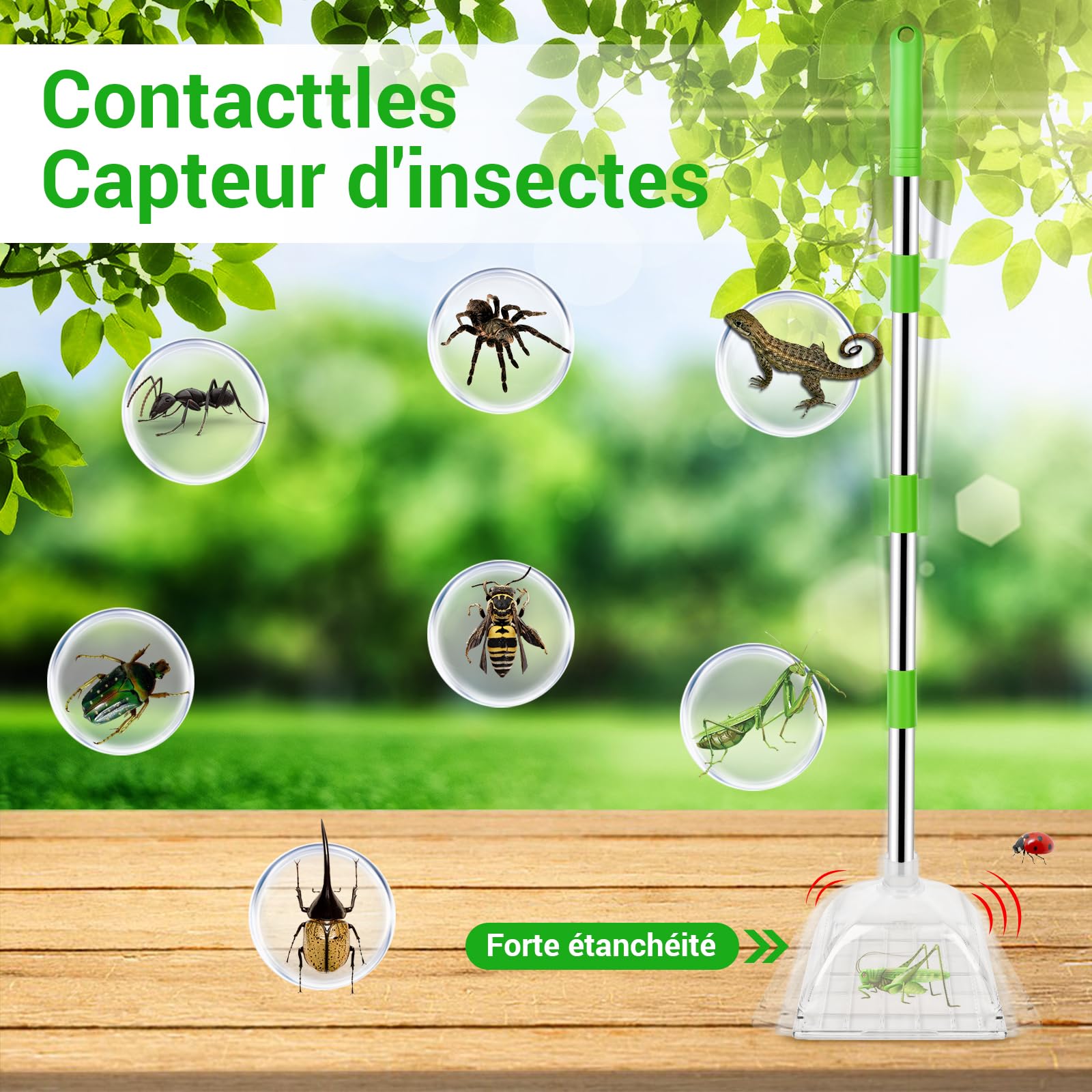 Herefun Attrape Araignée, Attrape Insectes Vivants, Attrape-araignée à Long Manche, Outil d'Attrape-Insectes, Pièges à Cafards Araignées, Piège à Araignées, Capture de Gros Insectes sans Contact