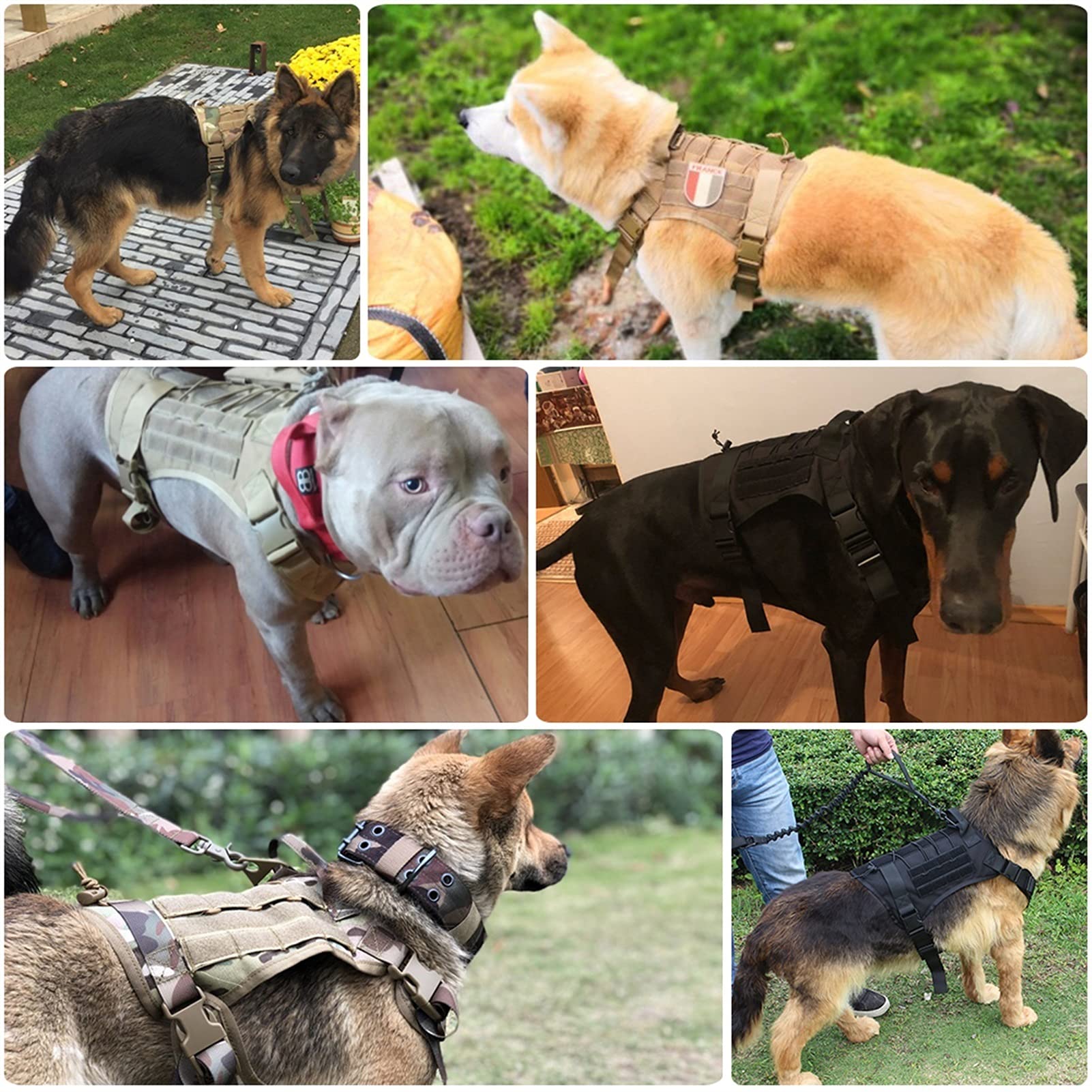 Arnés Militar Táctico para Perros Y Conjunto De Correa, Arnés para Perros De Trabajo para Perros Duraderos para Perros Pequeños Y Grandes Pastor Alemán