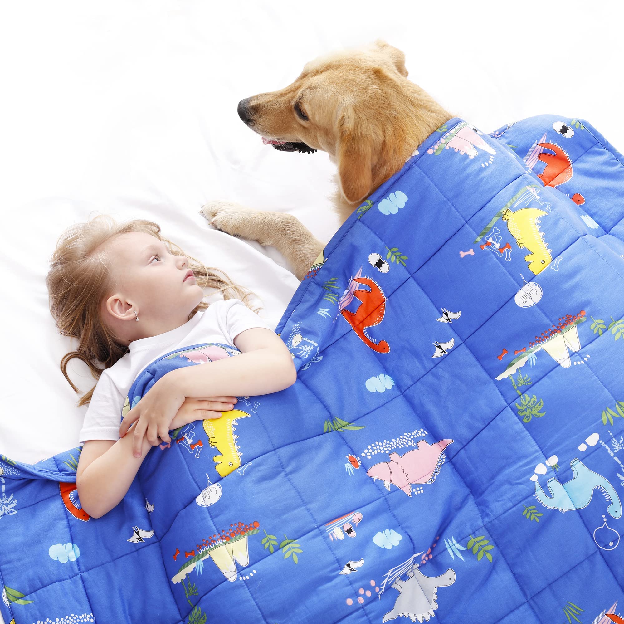 Joyching Weighted Blanket