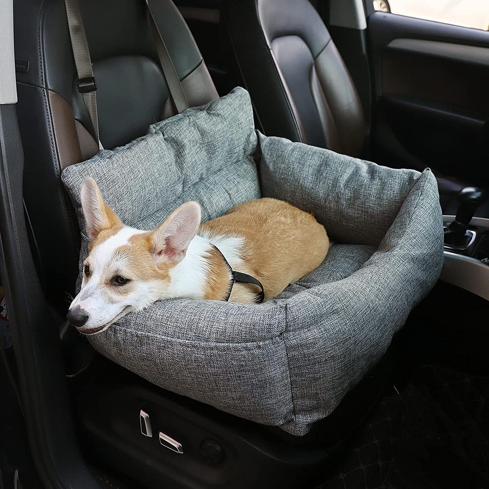 ¿Asiento Elevado de Viaje para Mascotas? Caseta portátil, Cama de Viaje | Transportador Plegable para Mascotas, Jaula Impermeable para Perros para Razas pequeñas, Gatos, cojín extraíble, diseño