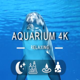 Aquário de Peixes golfinhos 4K - Música Relaxante Junto com Belos Vídeos da Natureza - 4K Vídeo Ultra HD Para Fire Tv
