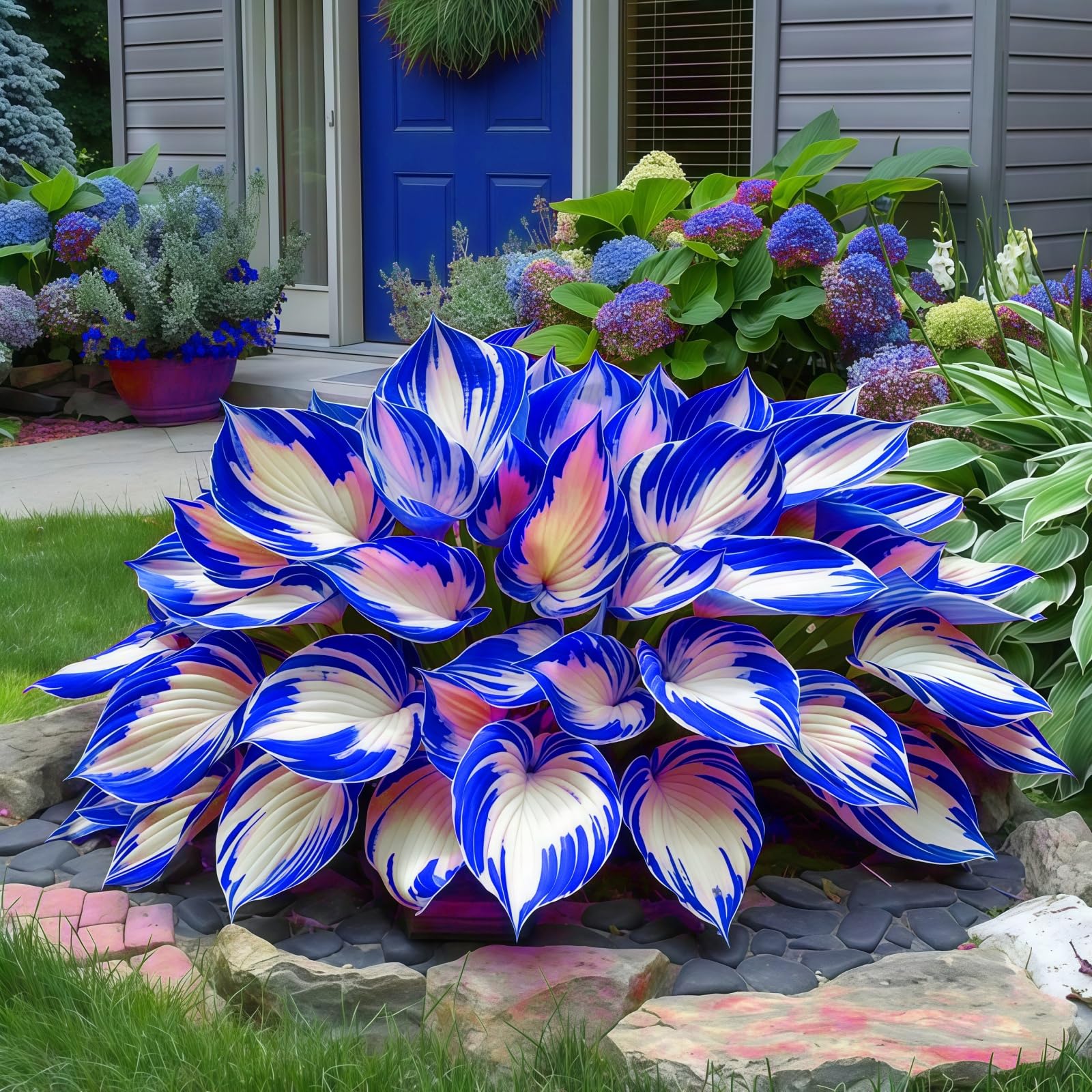Hostas for Planting UK, Hardy Perennial, Excellent Display, Mix Greening Flower, Natural Organic, Wedding, Balcony Garden-6 Bulbs-J — image 1