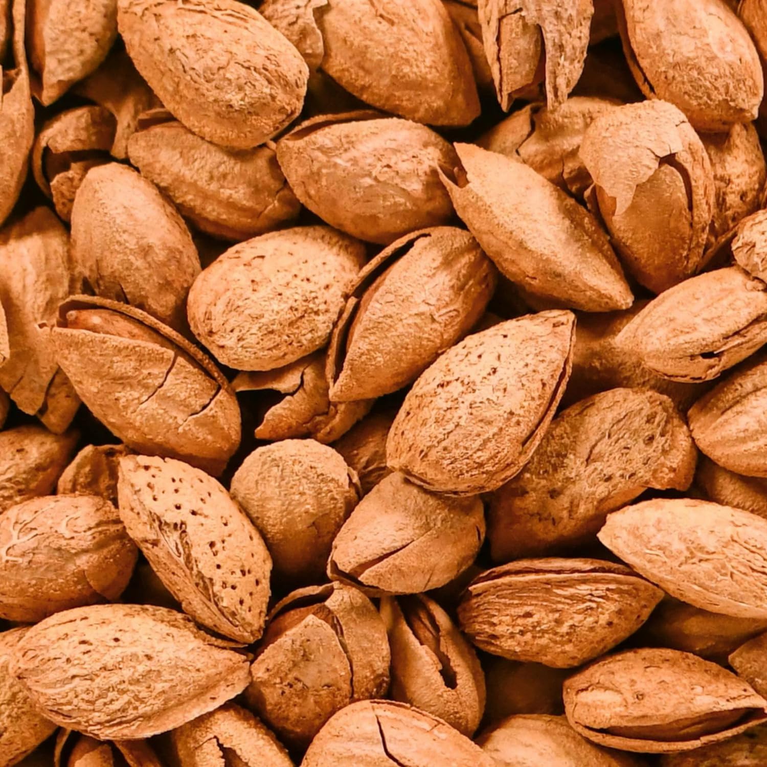 nut&me Almendras Tostadas con Cáscara 1 kg | Almendruco | 100% Naturales | Fuente de proteínas | Alto contenido en fibra | Sin gluten | Pack 2 x 500gr
