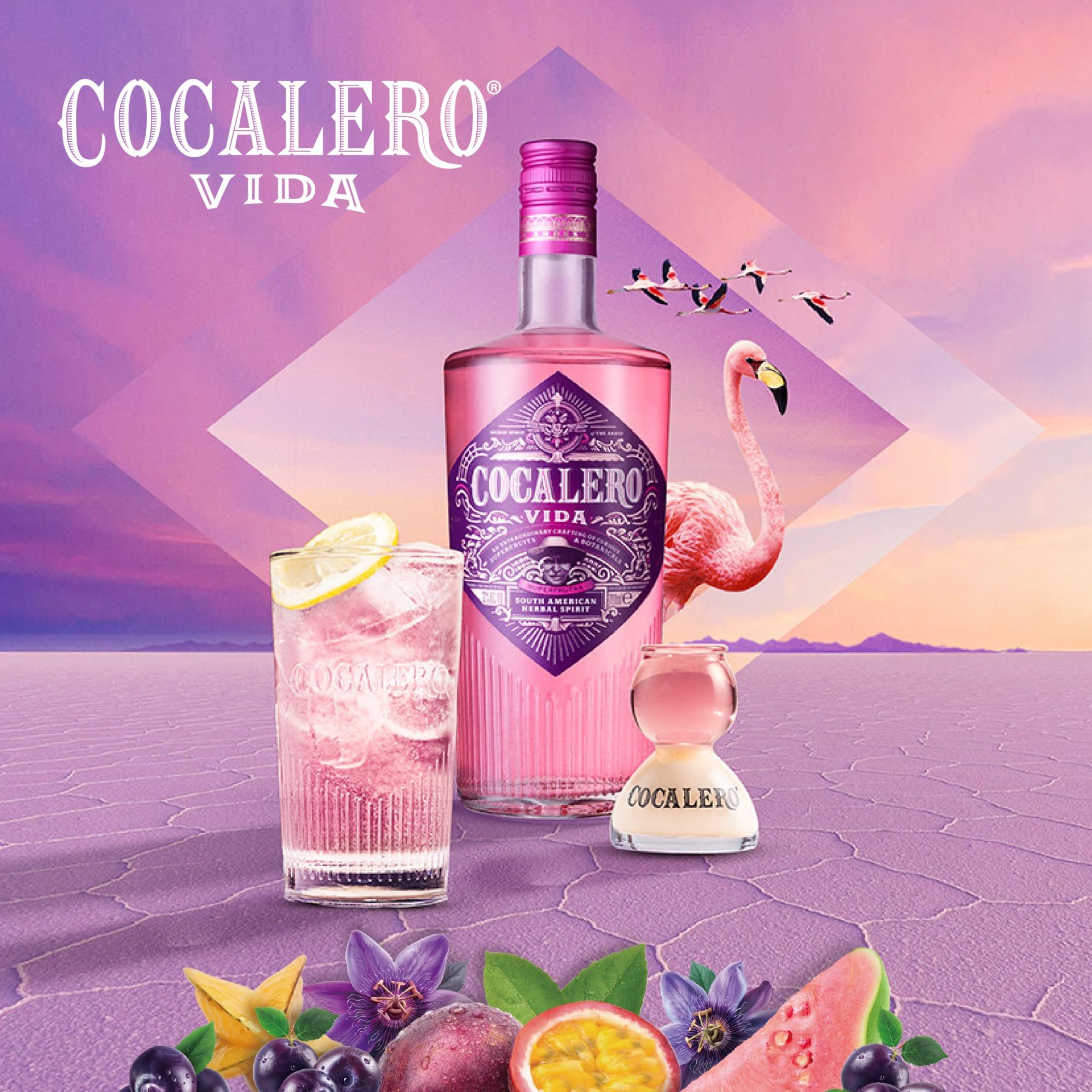 Amazon.co.jp: コカレロ コカレロ ヴィーダ 22度 瓶 200㎖ : 食品