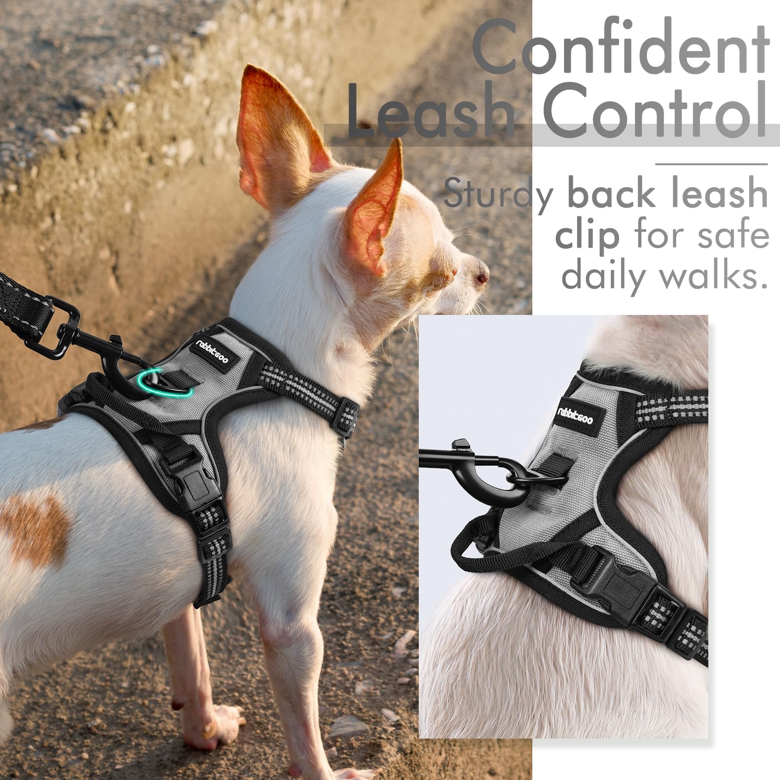 rabbitgoo Pettorina Cane Taglia Piccola, Pettorina Cane ad h Regolabile con 2 Ganci in Metallo, Pettorina per Cani Anti Tiro Riflettente, Imbracatura Cani Traspirante per Addestramento(XS, Grigio)