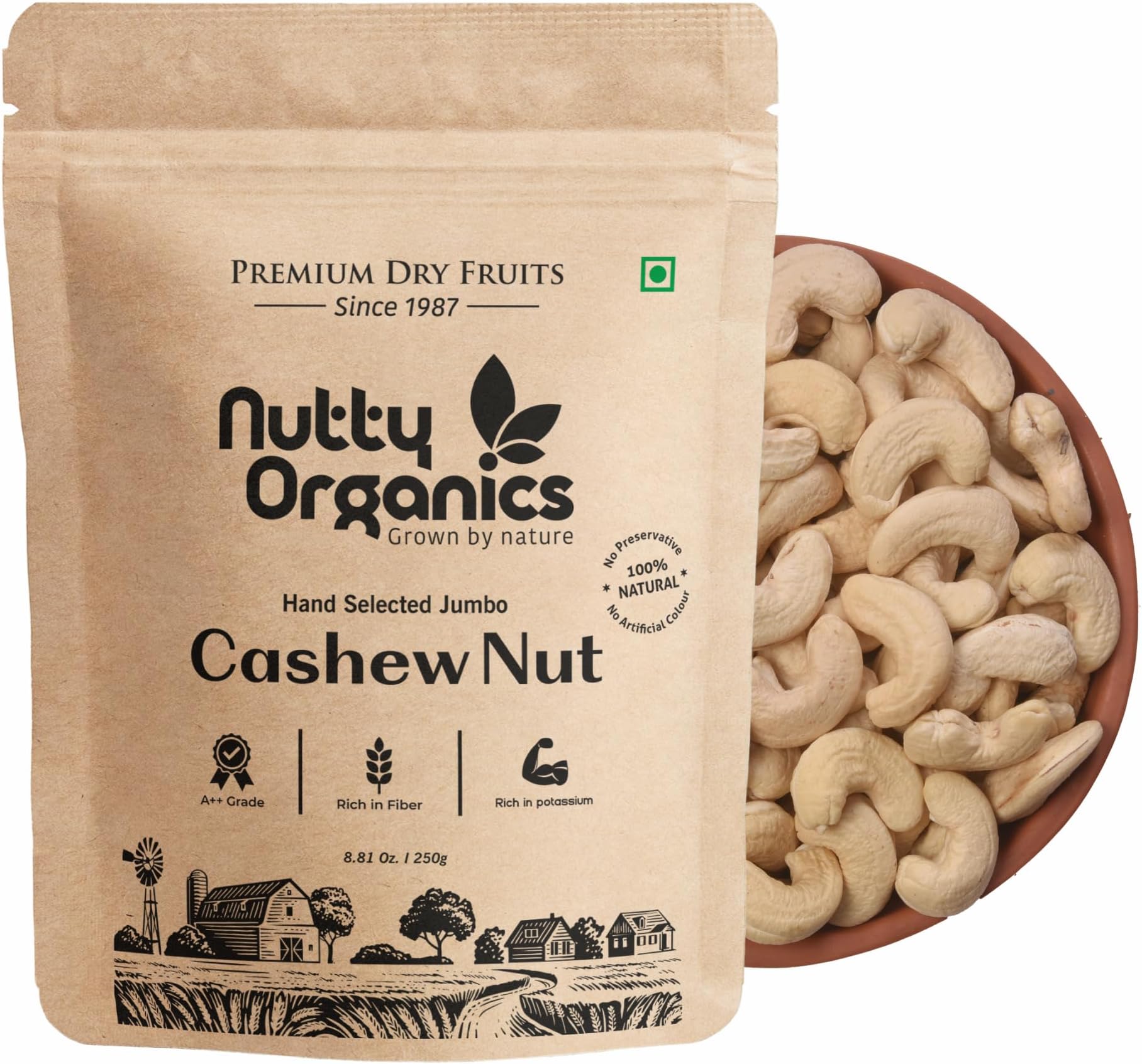 Cashew Nuts 500 Gm | Nutritious & Delicious Nuts | Natural & Crunchy | Healthy Dry Fruit Snack
