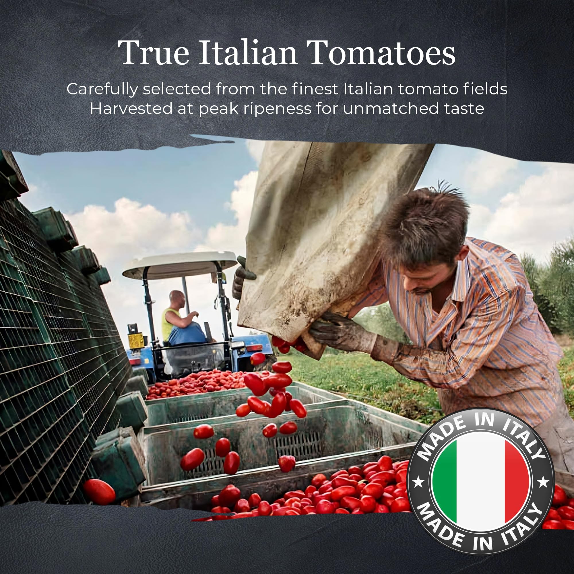 Vantia Peeled Italian Tomatoes with Basil 28 oz Can – Imported Italian Whole Tomatoes in Rich Juice with Basil, Ideal for Pasta Sauce, Pizza, Soups & Authentic Italian Cooking