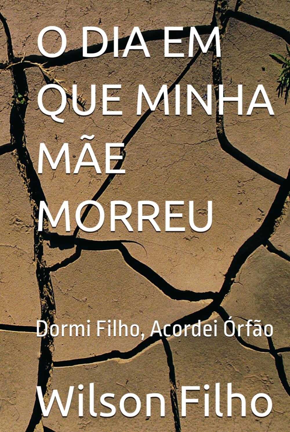 O DIA EM QUE MINHA MÃE MORREU: Dormi Filho, Acordei Órfão