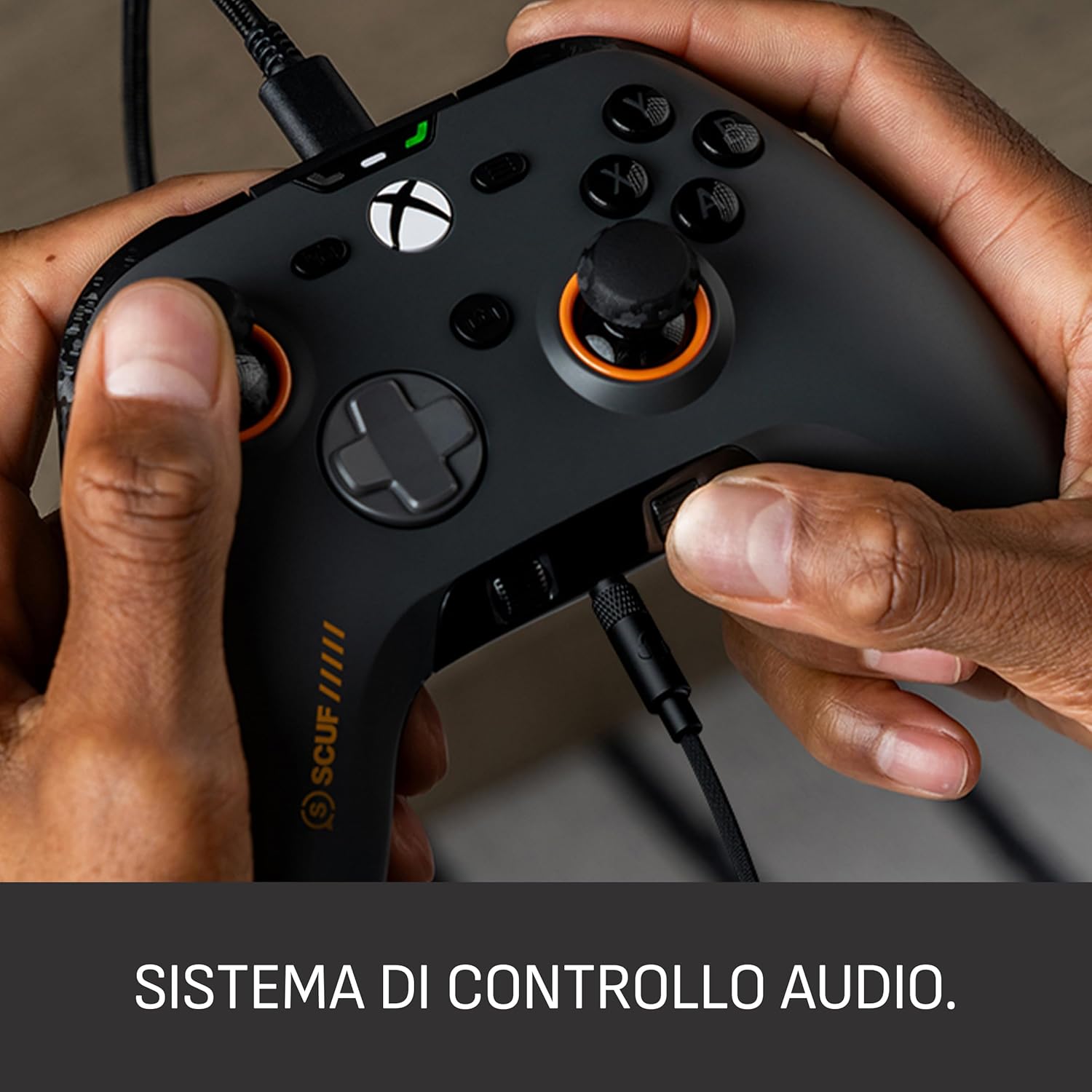 Immagine 5