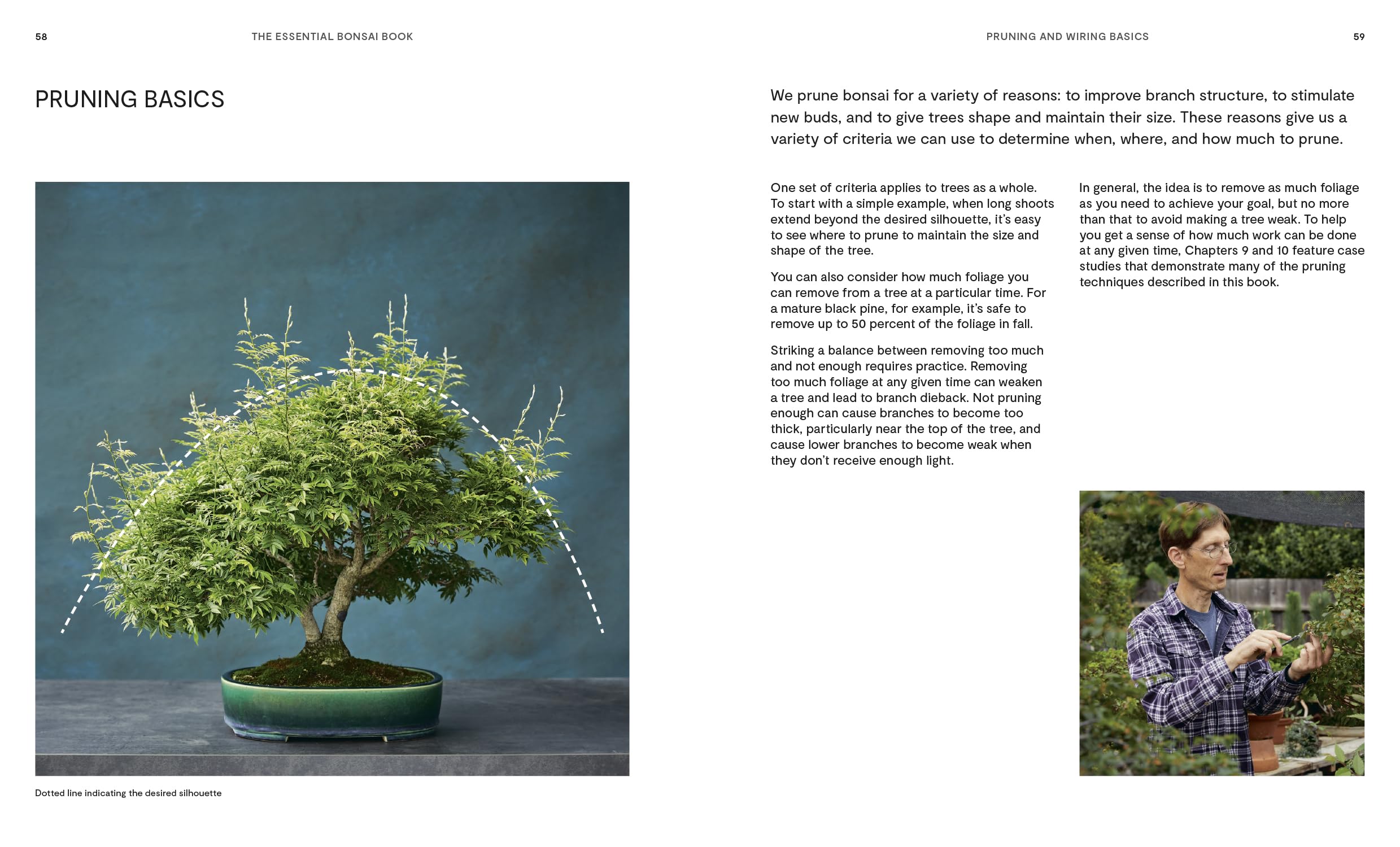 The Essential Bonsai Book: Techniques for Creating Beautiful Trees