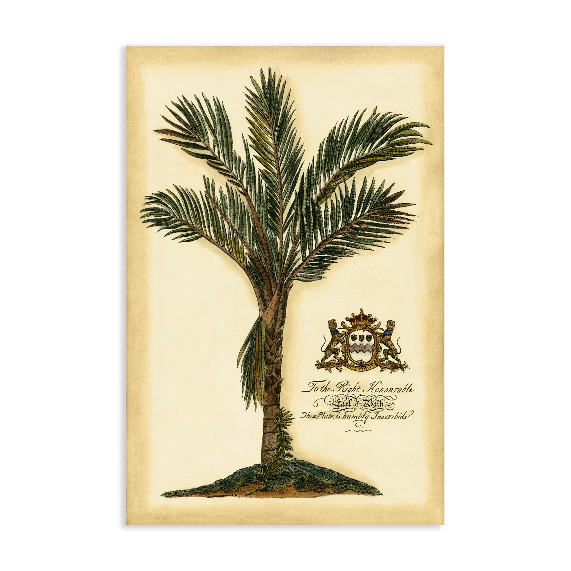 Stupell Industries Unframed 'Vintage Colonial Palm'| Canvas Art