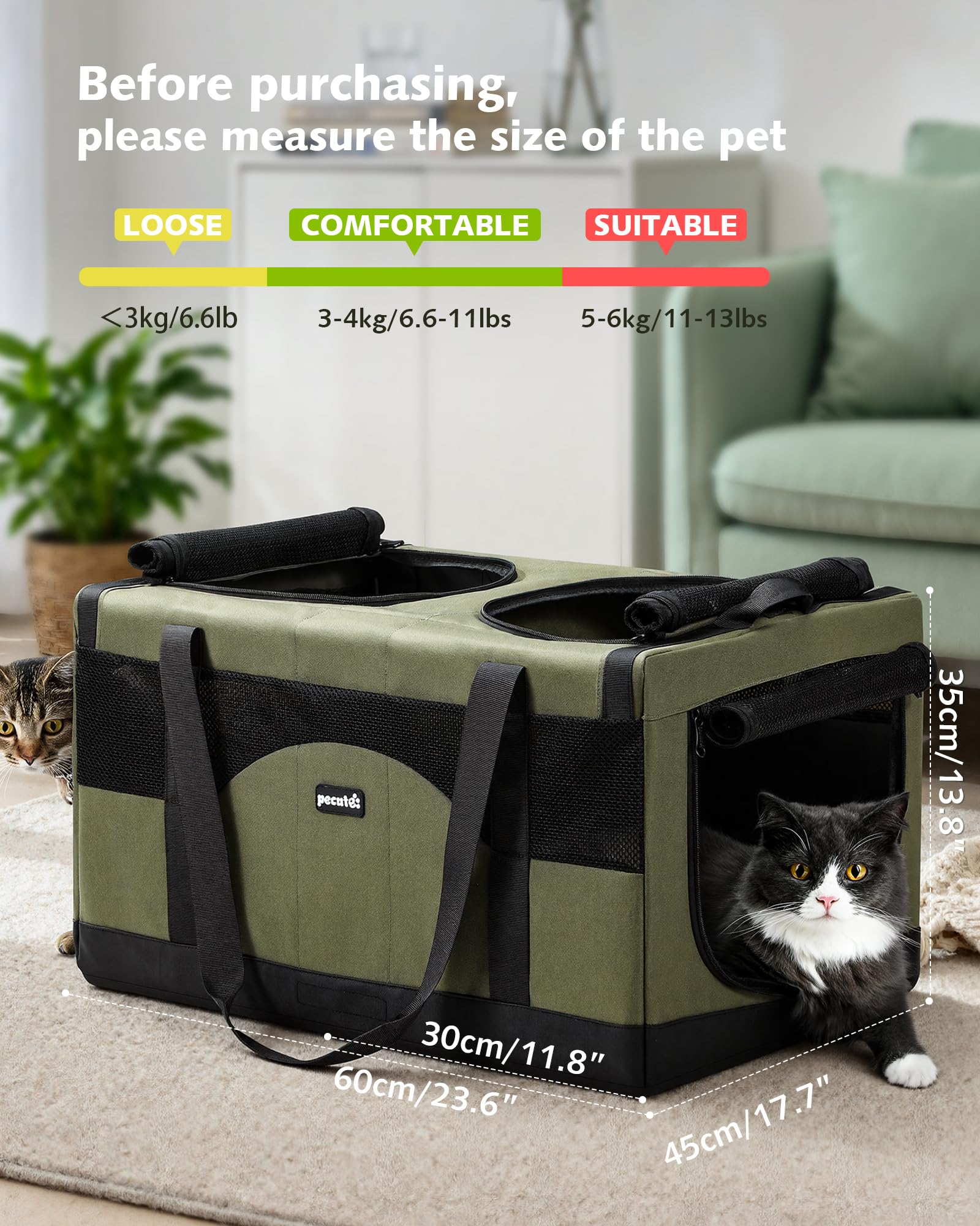 https://m.media-amazon.com/images/I/811aljwJAGL.jpg