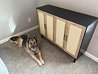 Review Image by Casey Casey