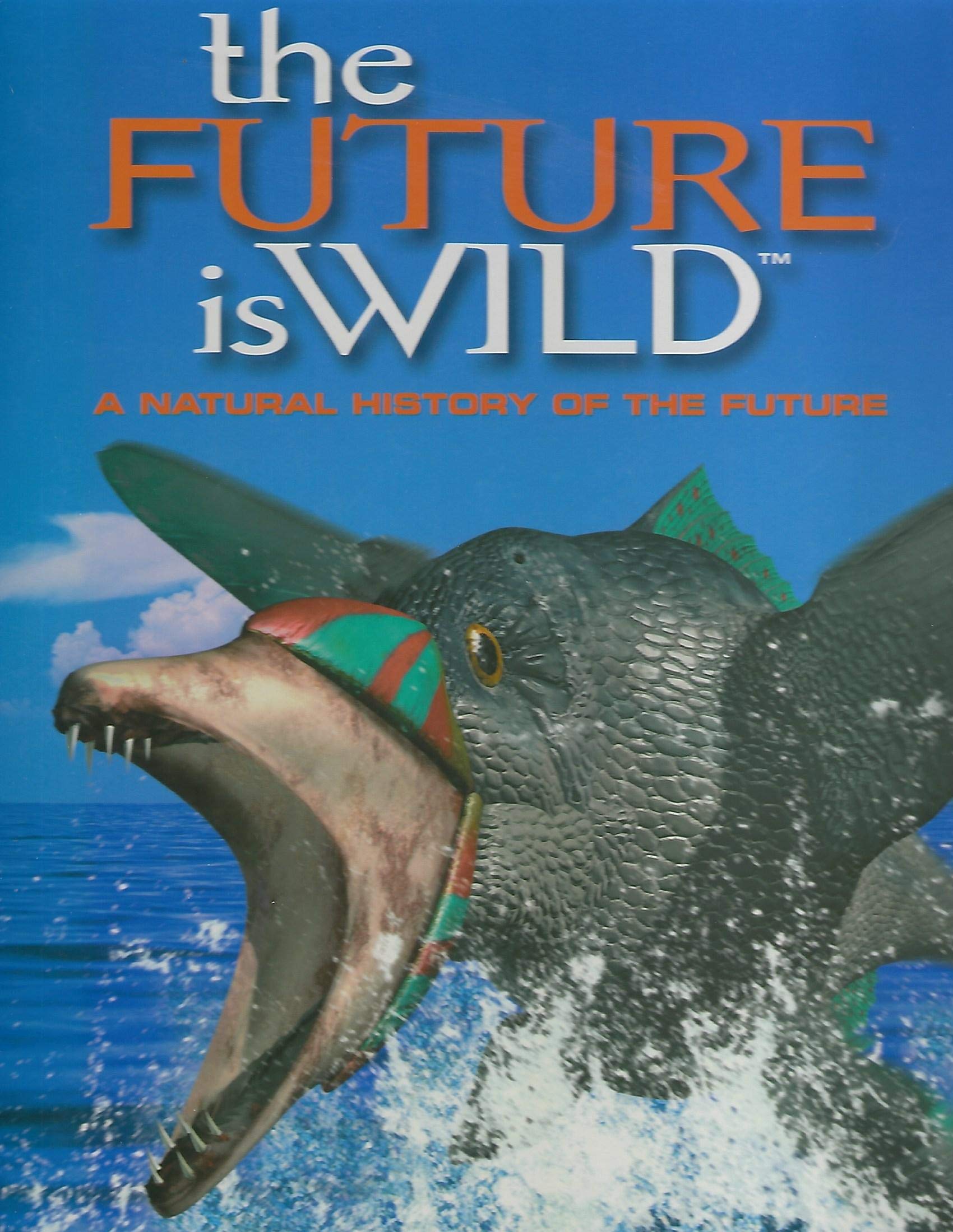 Goa】Non Fiction - Aspect to the Future Goa Indica:A Critical